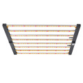 Plantio de sol interno 600W 8bar LED GROUN